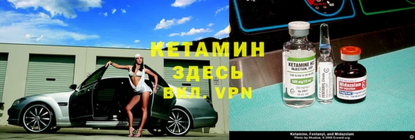 индика Богородицк