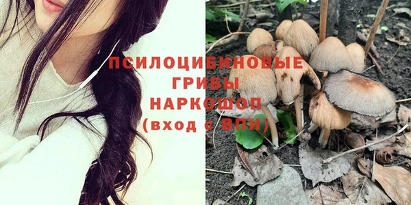 индика Богородицк