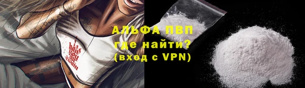 индика Богородицк