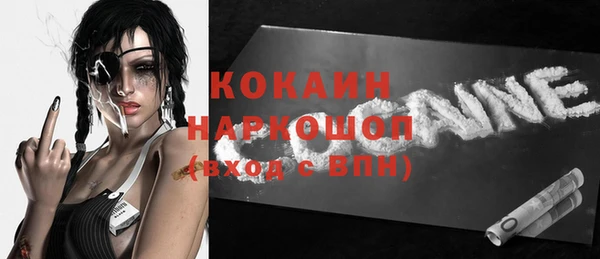 индика Богородицк