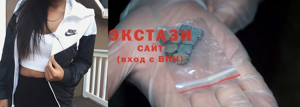 индика Богородицк