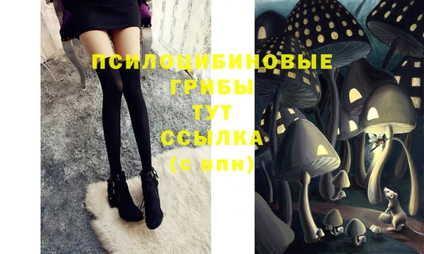 индика Богородицк