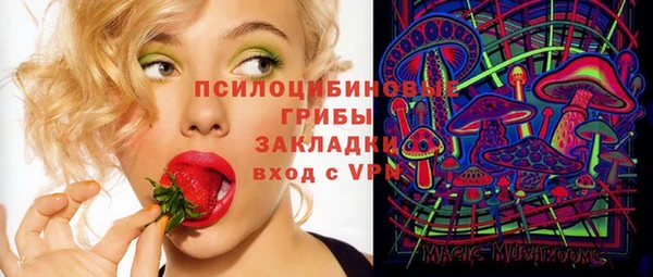 индика Богородицк
