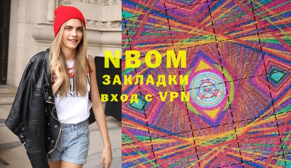 индика Богородицк