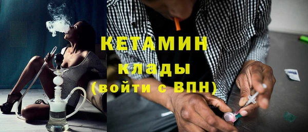индика Богородицк