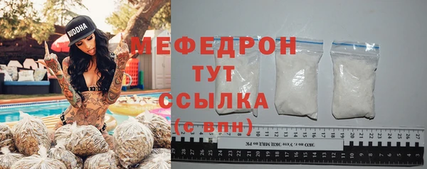 индика Богородицк