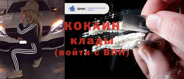 индика Богородицк