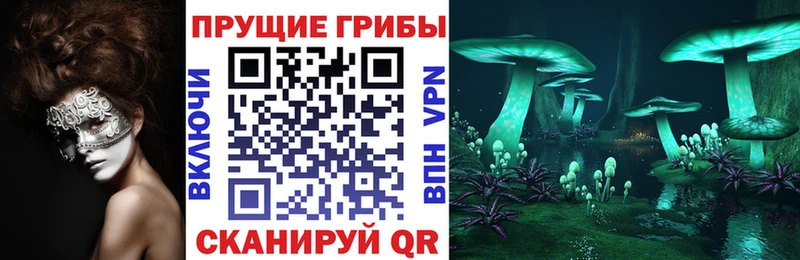 мега ссылки  Санкт-Петербург  Галлюциногенные грибы MAGIC MUSHROOMS 